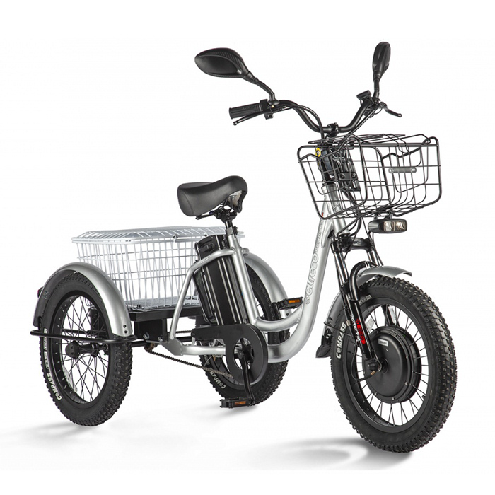 Трицикл ELTRECO Porter Fat 500 UP! (серебристый) (2021)