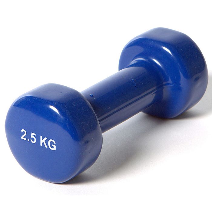Гантель SPORTEX виниловая "York" 2.5 кг (синий)
