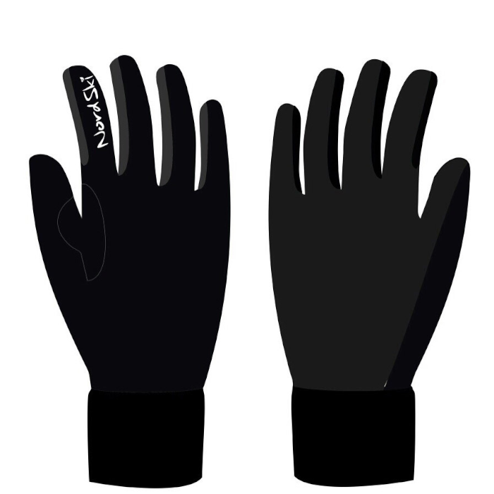 Перчатки лыжные NORDSKI Elite (черный)