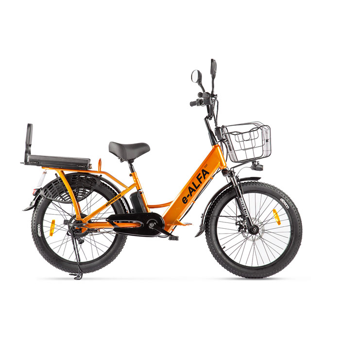 Электровелосипед GREEN CITY e-ALFA Fat 500 Wh (золотистый) (2020)