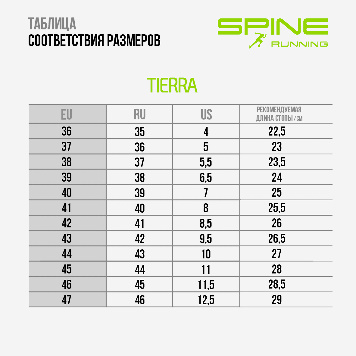 Таблица размеров - 